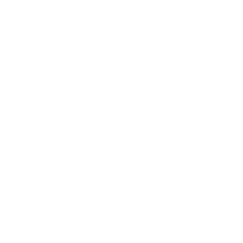 step on guide icon
