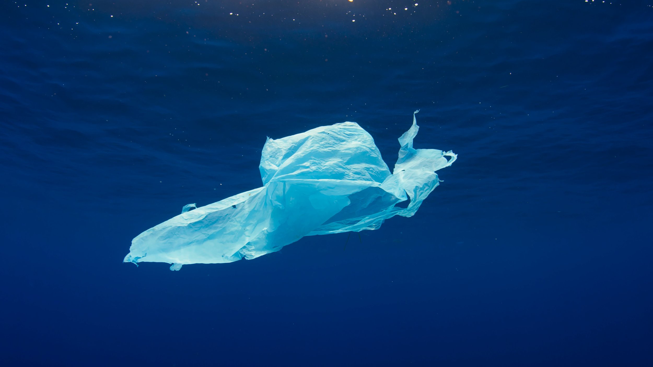 What's the Right Way to Recycle Plastic Bags and Wraps (AKA Plastic Film  Packaging)? - America's Plastic Makers