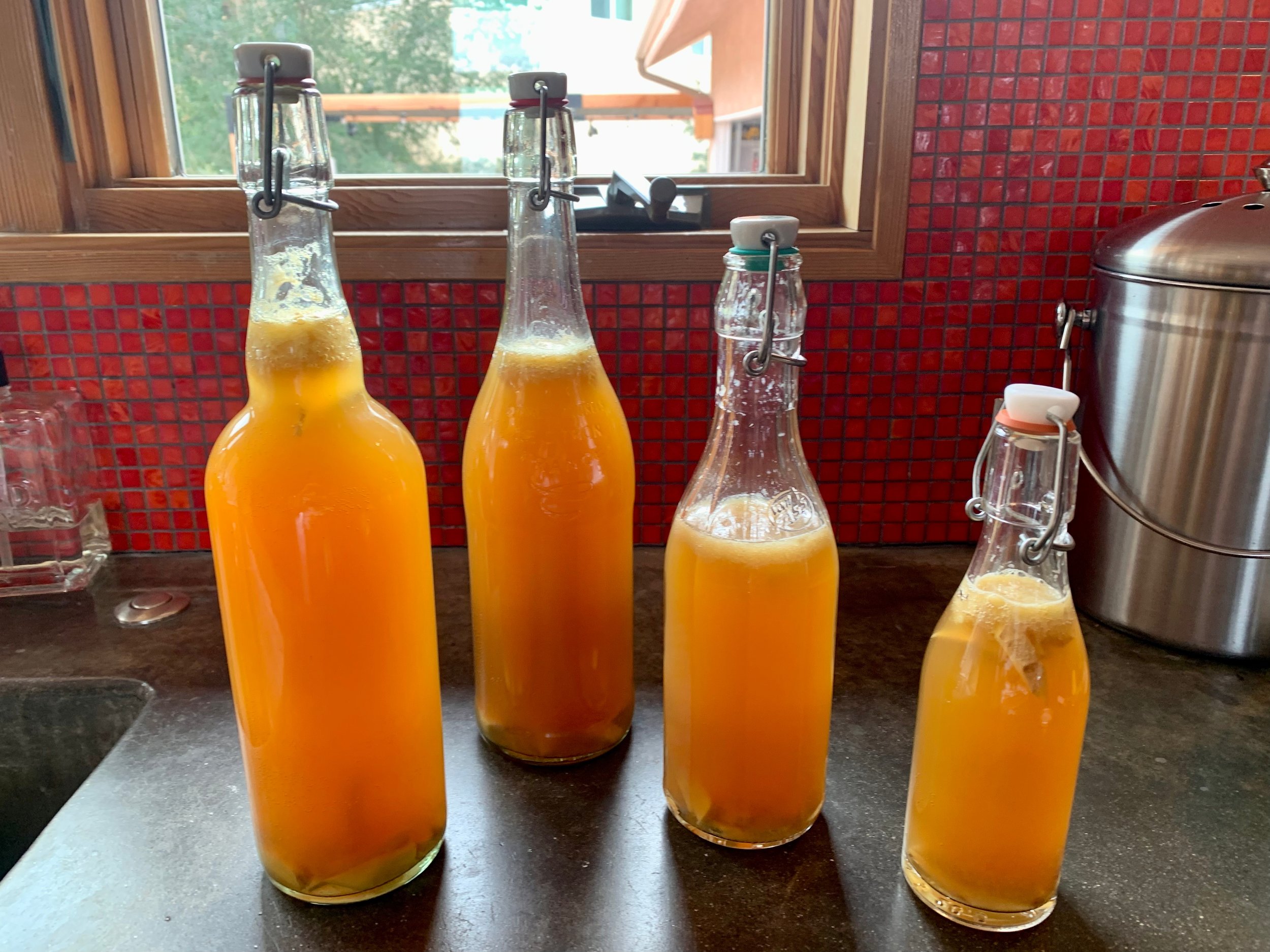 bottles filled with kombucha ready for 2nd ferment