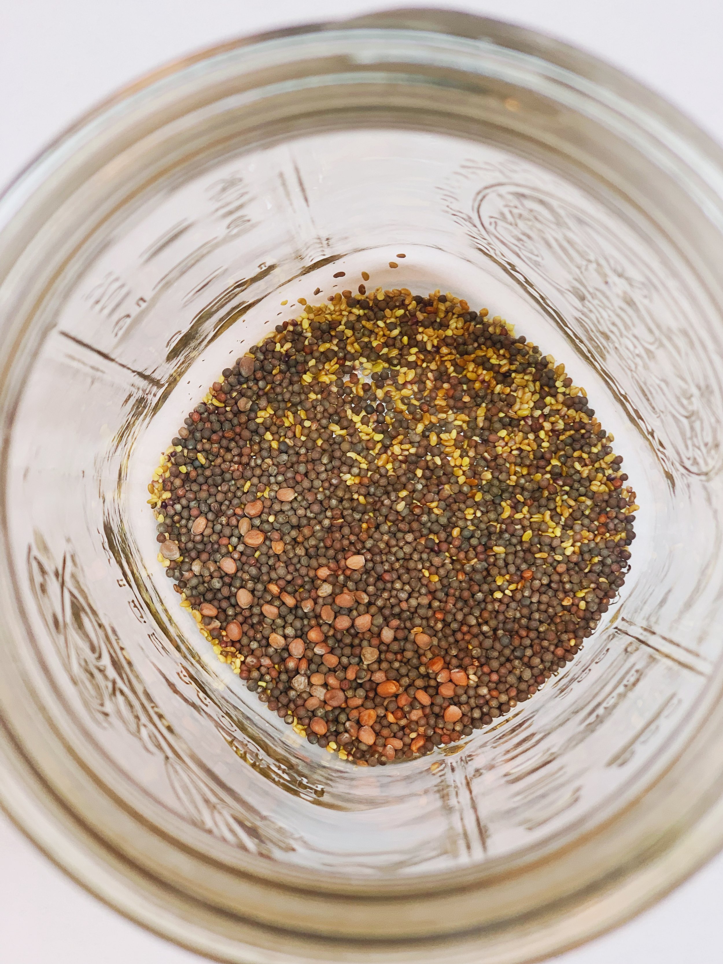 Dry sprouting seeds in jar