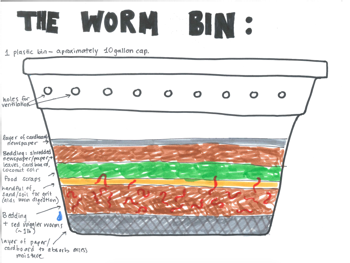 Vermicomposting: How to Start Composting With Worms at Home — This Green  Lifestyle