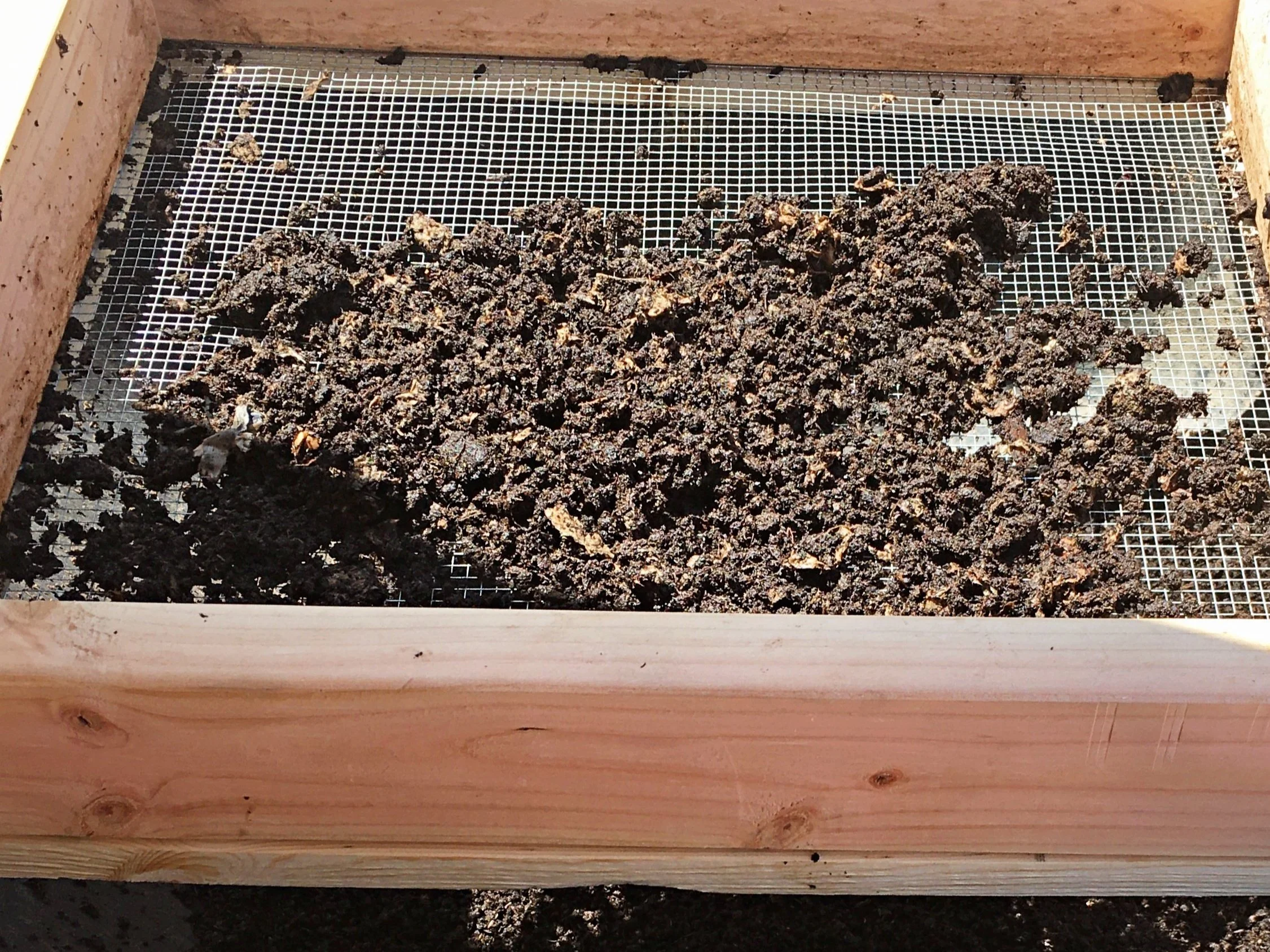 How to Harvest Worm Castings From Your Worm Farm — This Green Lifestyle