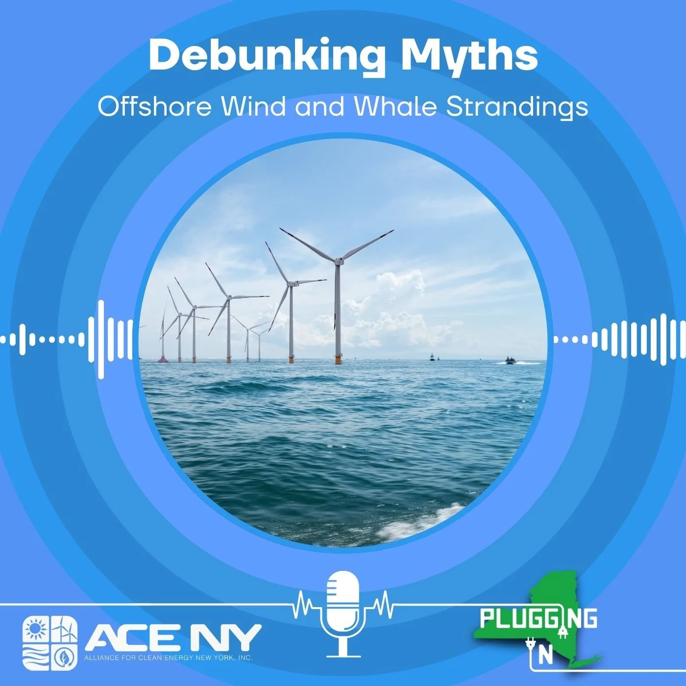 Debunking Myths: Offshore Wind and Whale Strandings
