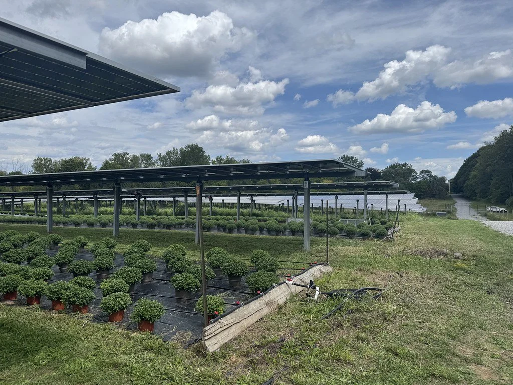 Harvesting Sunlight Twice: Dual-Use Solar on a New York Family Farm