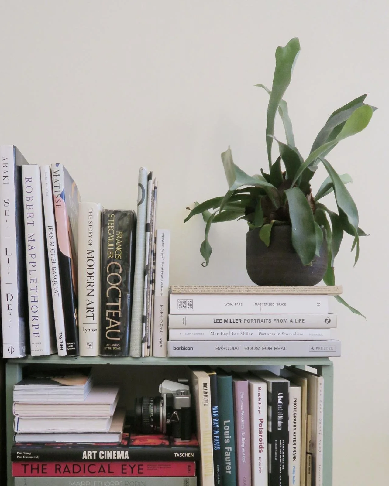 WhatsApp Image 2020-12-31 at 17.24.30.jpeg