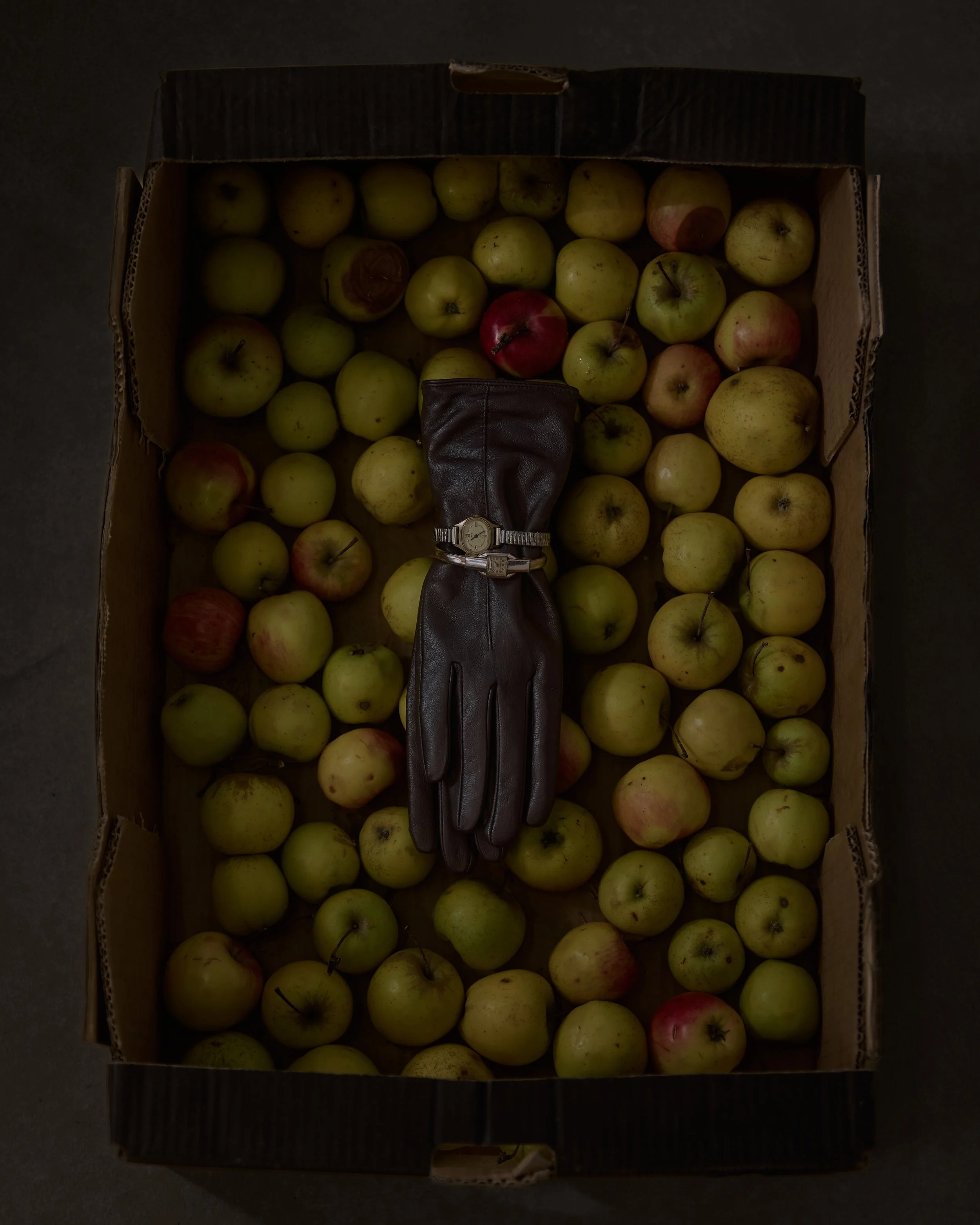 G x J 14 11 250323_insta.jpg