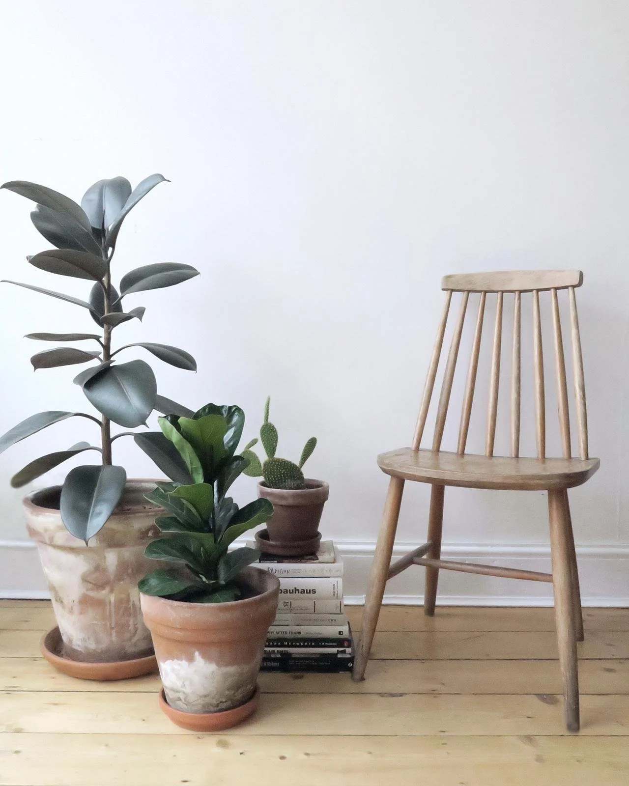 WhatsApp Image 2021-01-16 at 16.27.11.jpeg