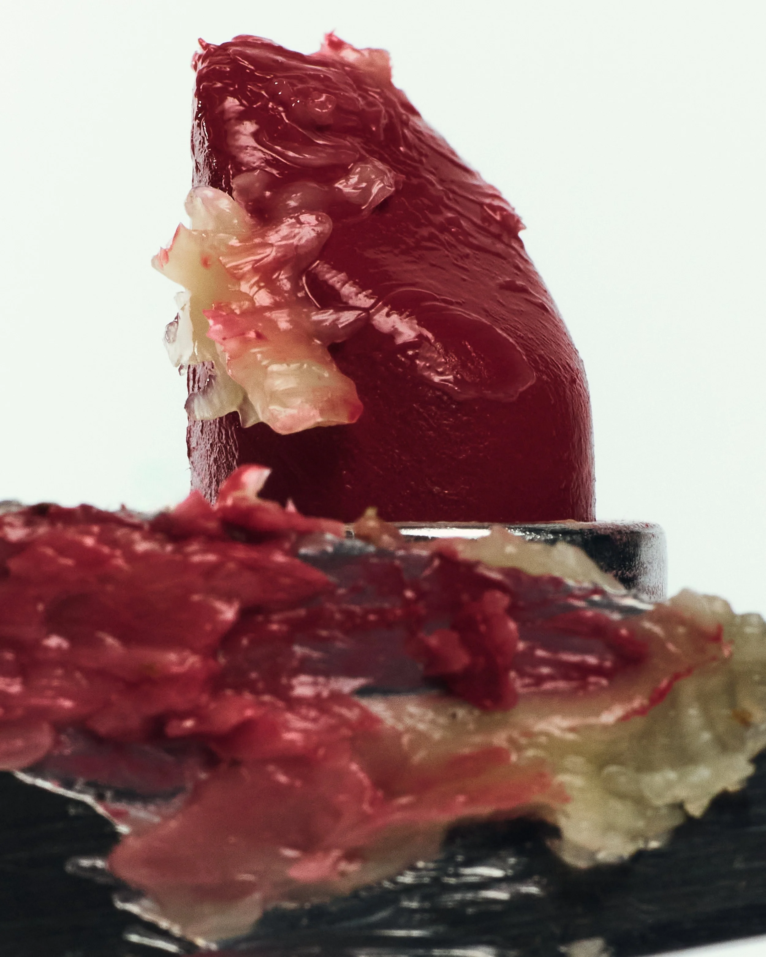 G x J 14 11 250422_insta_1.jpg