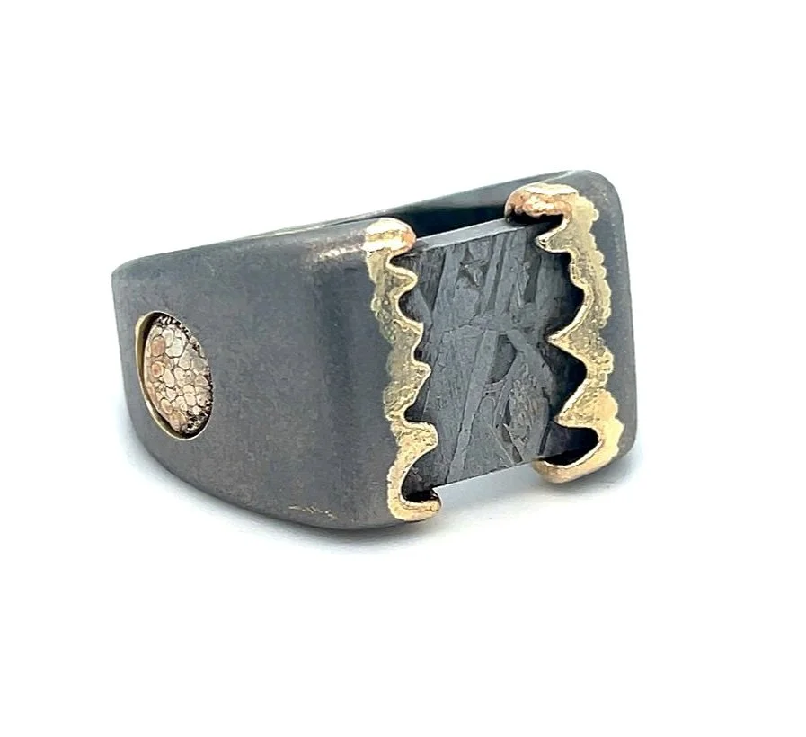 Custom Men's Meteorite Ring
