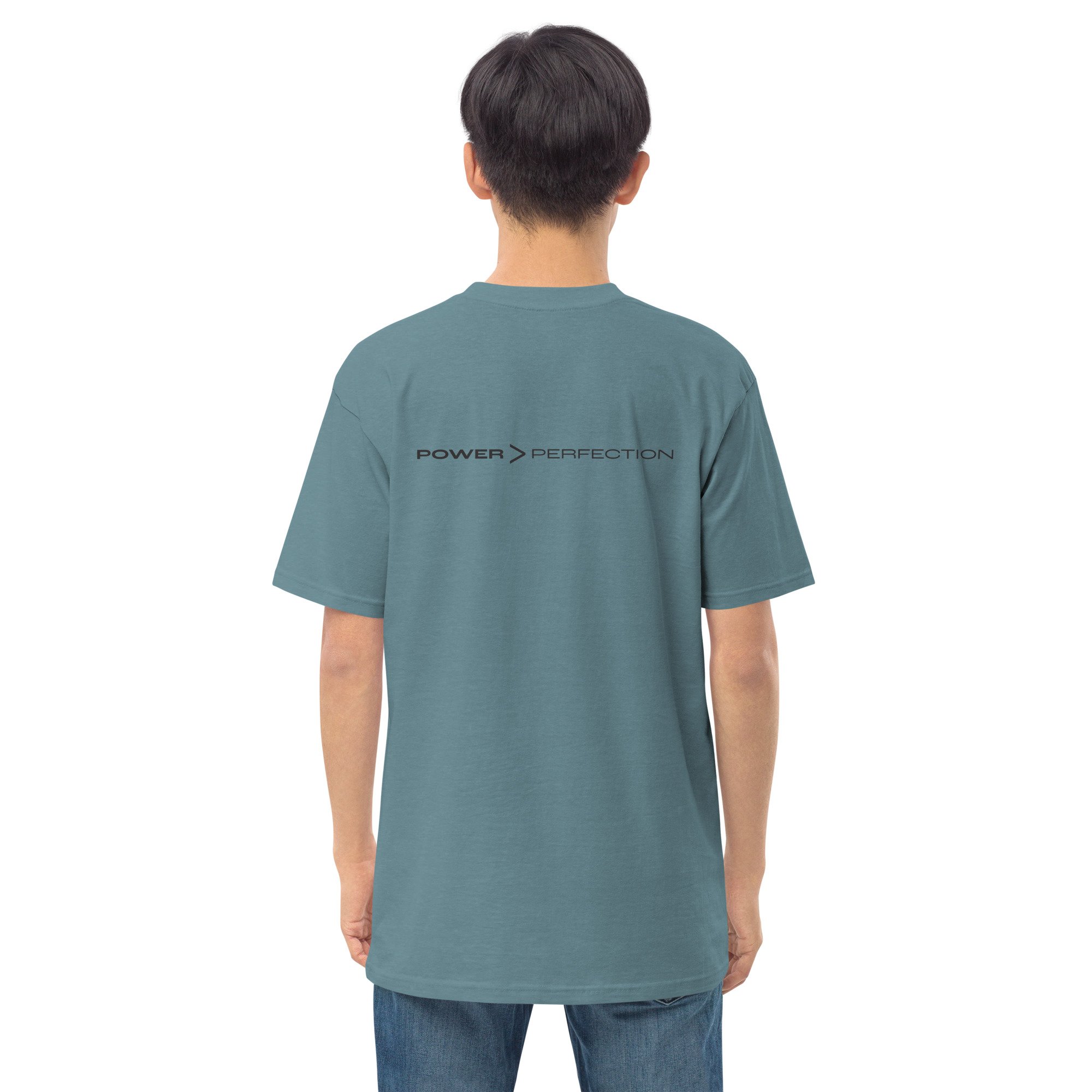 mens-premium-heavyweight-tee-agave-back-63161c55353fc.jpg