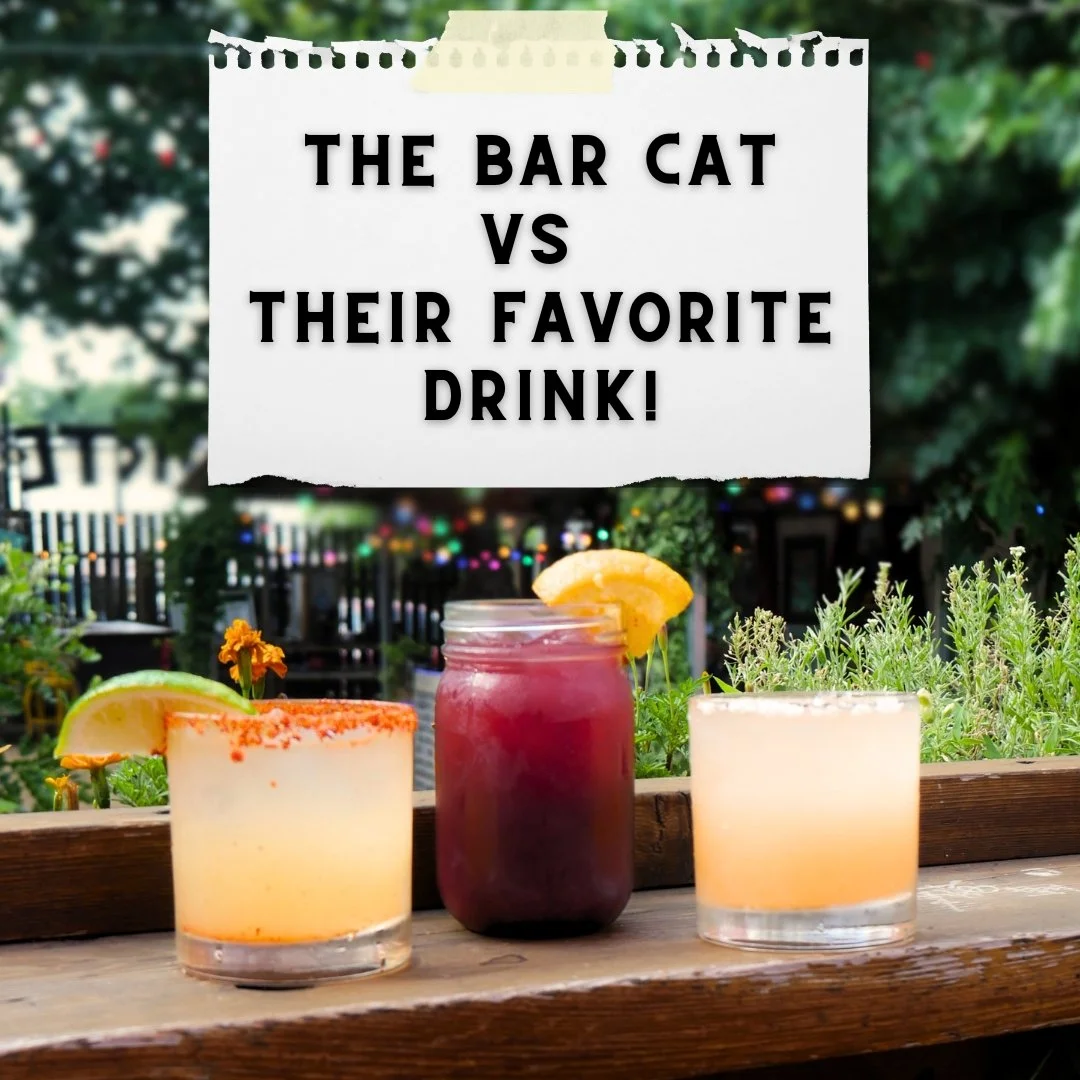 Tonight is Thursday Purrrsday at The Butterfly Bar! 🐈

Every Thursday, we offer discounts on our Bar Cat's favorite drinks!

-Elmire's Meowgarita $8
-Radius' Pawloma $8
-Smokey's Sangria $6

#atx #austin #atxbar #atxdrinks #austinbar
