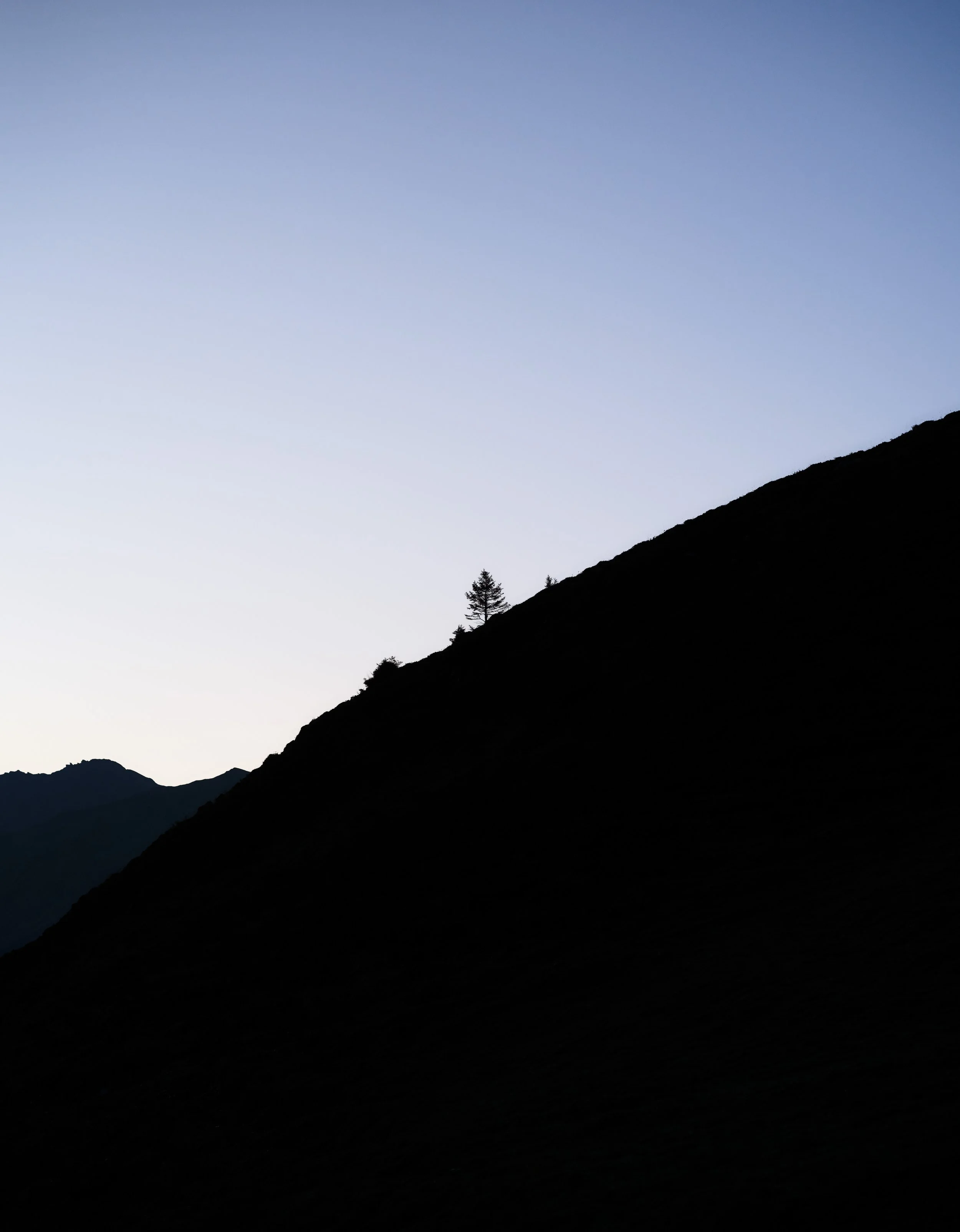 DSCF2755.jpg