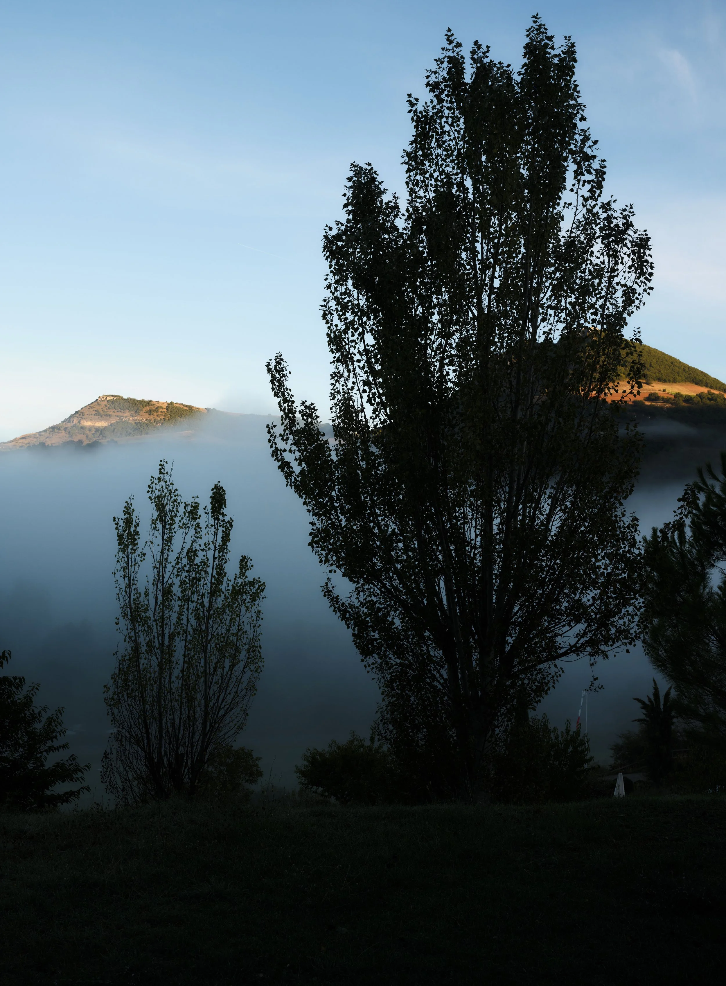 DSCF4188.jpg