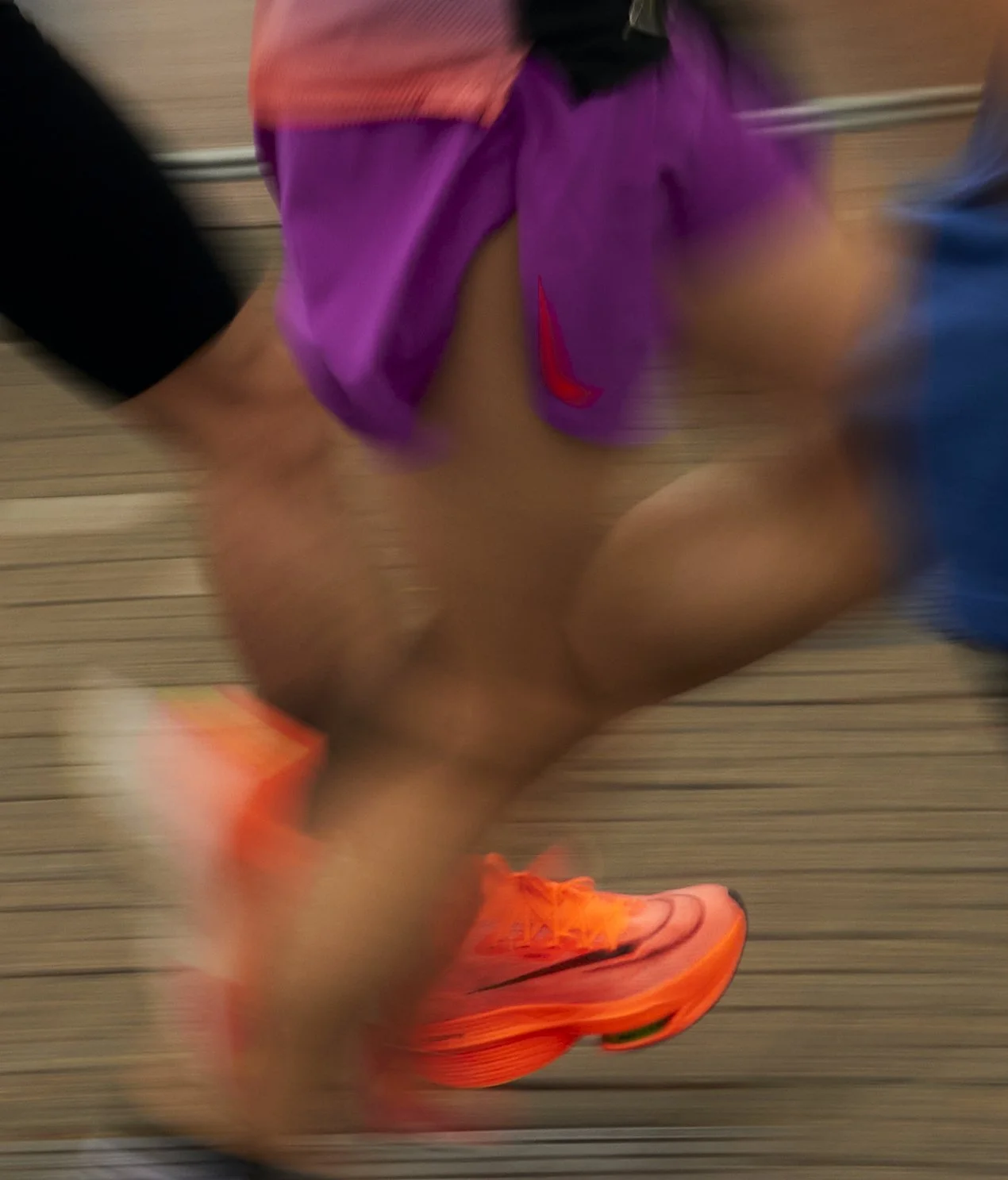 977A4591.jpg