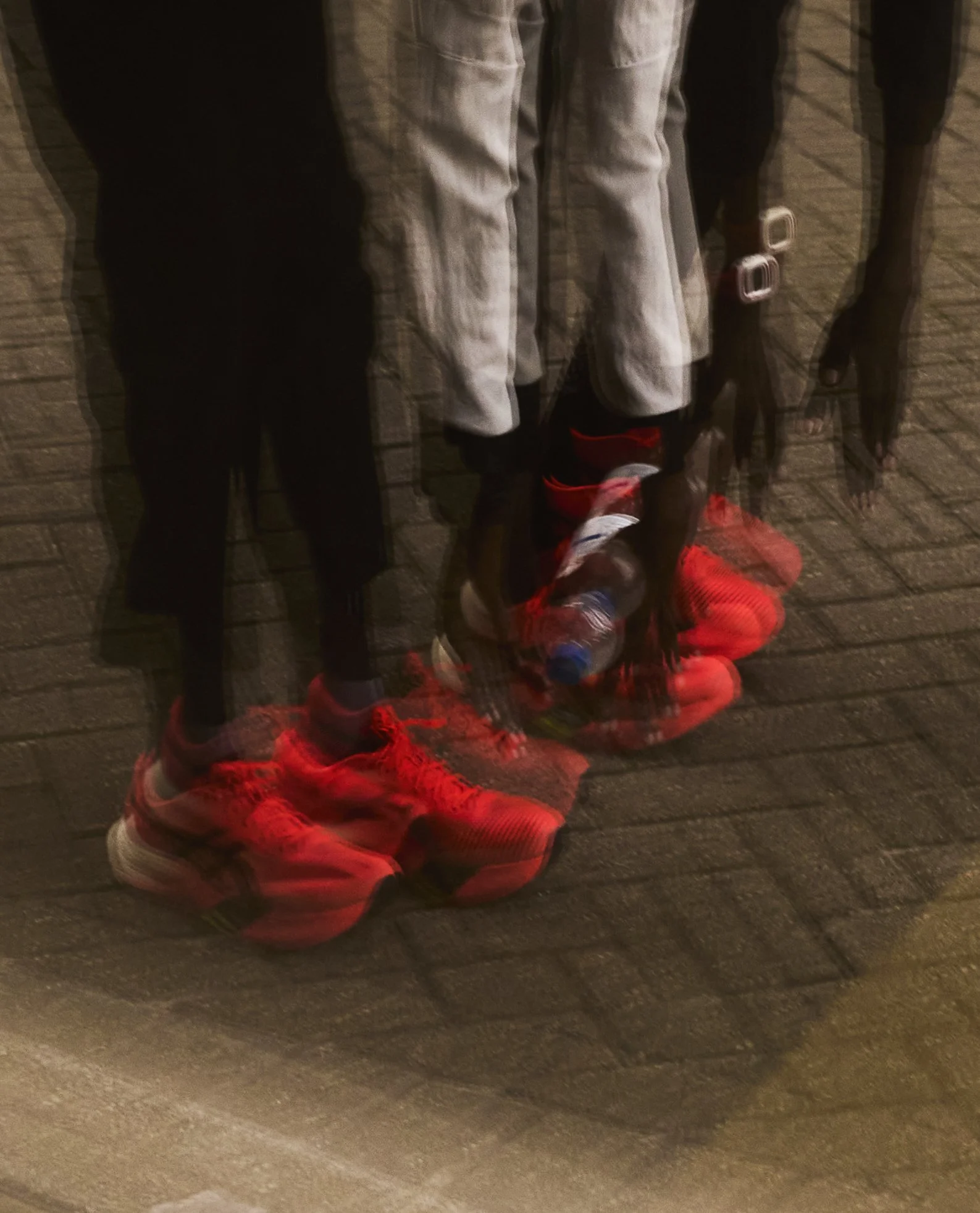 0T2A0830.jpg