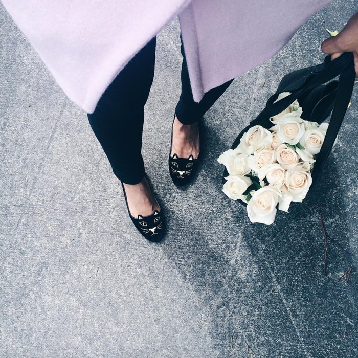 Valentine's Day Blooms