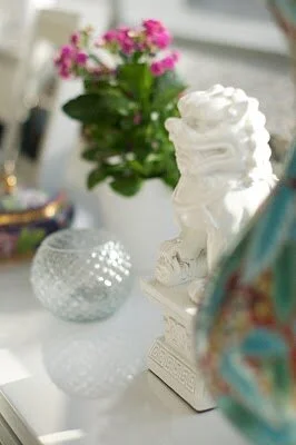 A Thing for Foo Dogs