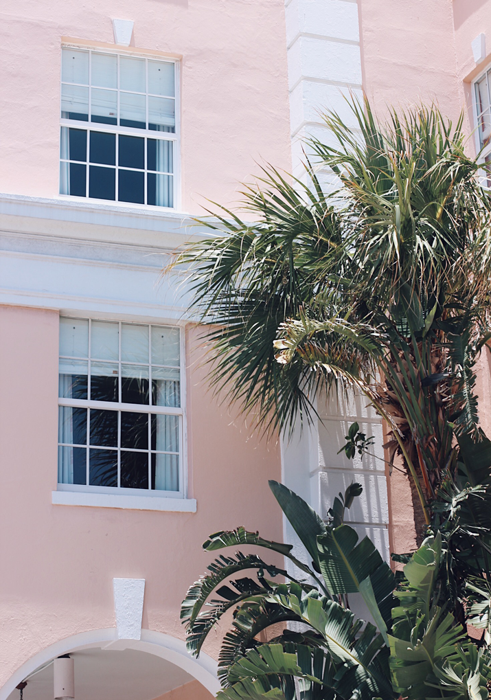 A Day Trip To Palm Beach