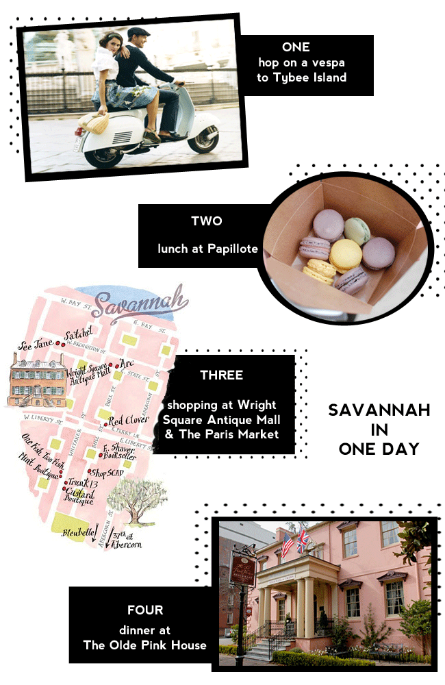 Savannah In One Day