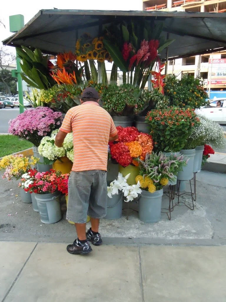 First days in Lima...