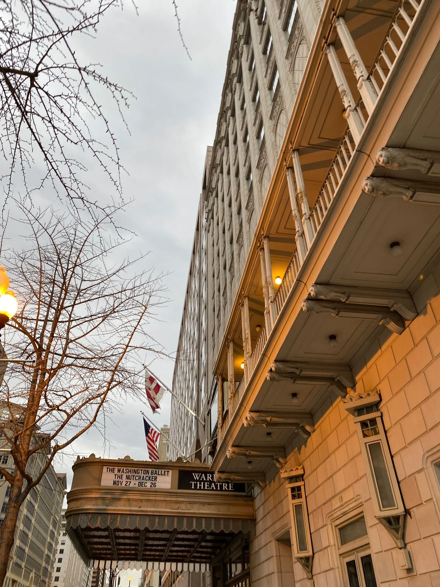 The Washington Ballet