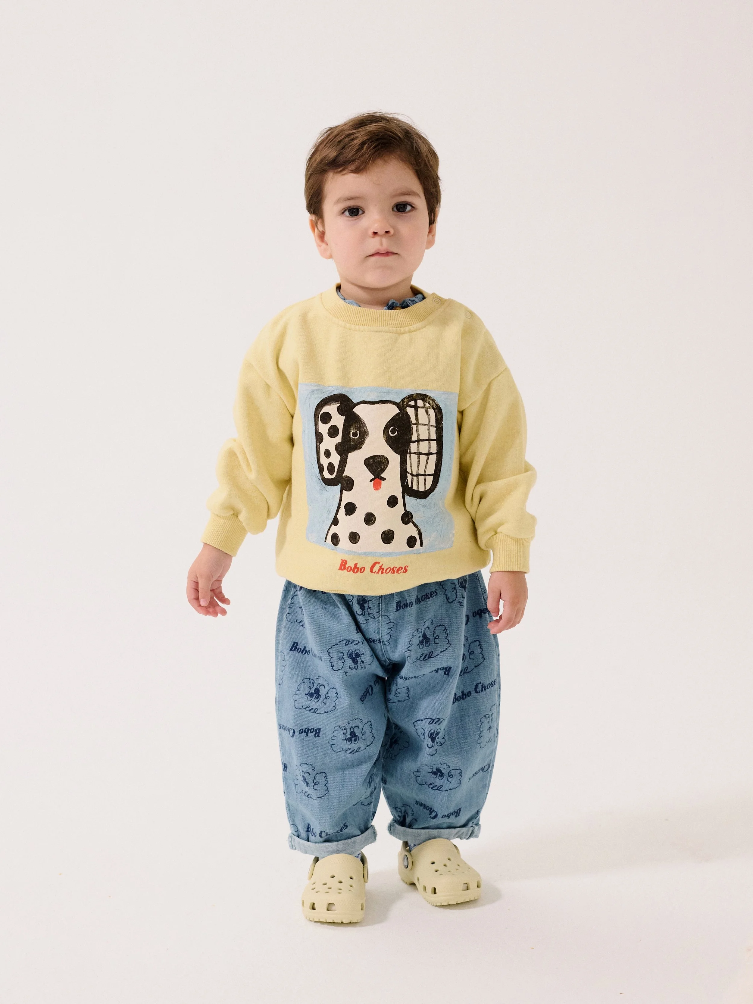 Bobo Choses Pullover Van Dog mit kreativem Design – hochwertige, nachhaltige Kindermode aus Spanien für kleine Entdecker im Kids Concept Store bei Cleo&Caesar