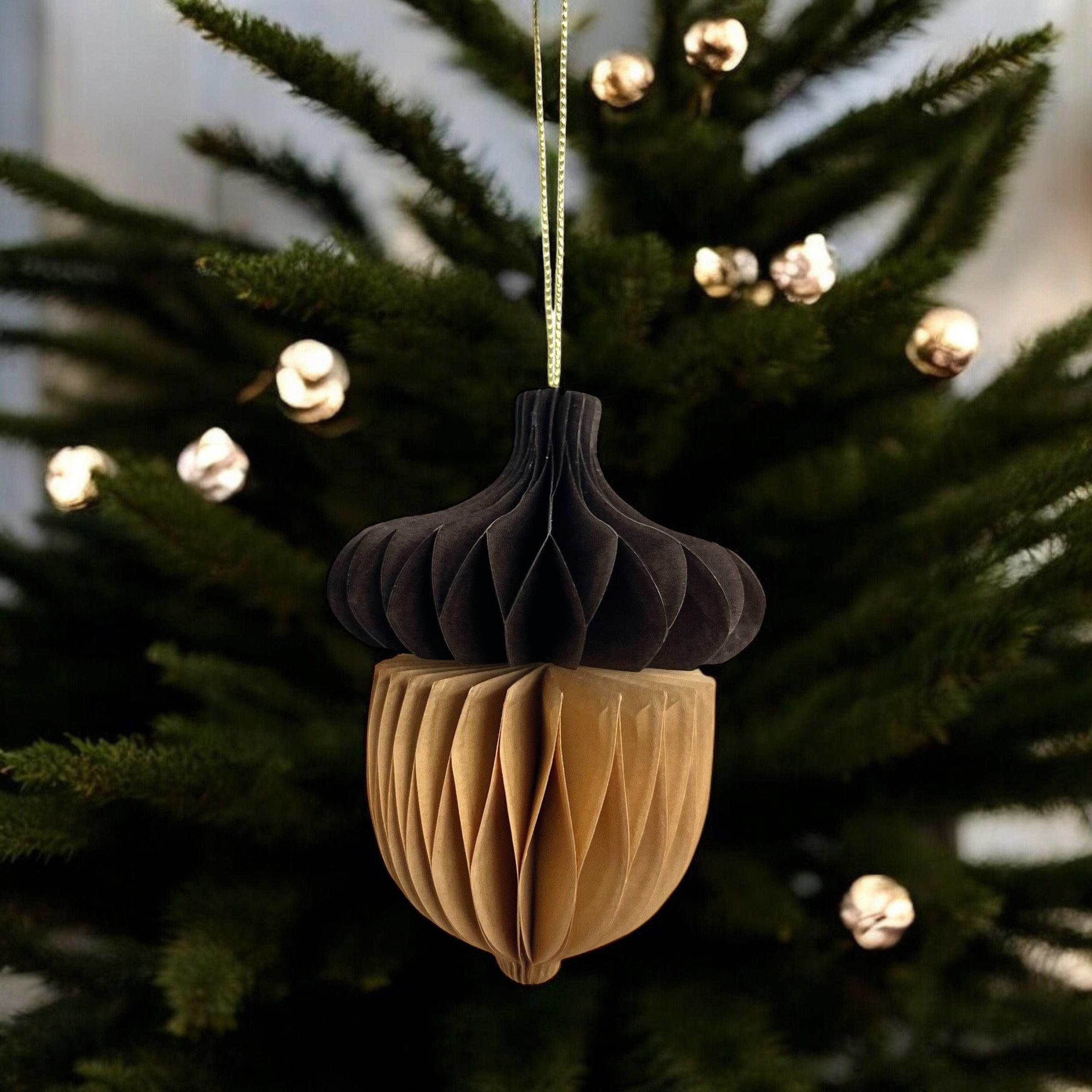 Baumschmuck / Waben-Aufhänger mit Magnet und goldenem Band zum Aufhängen. Baumschmuck im Concept Store bei Cleo&Caesar.mg_acorn_1.JPG