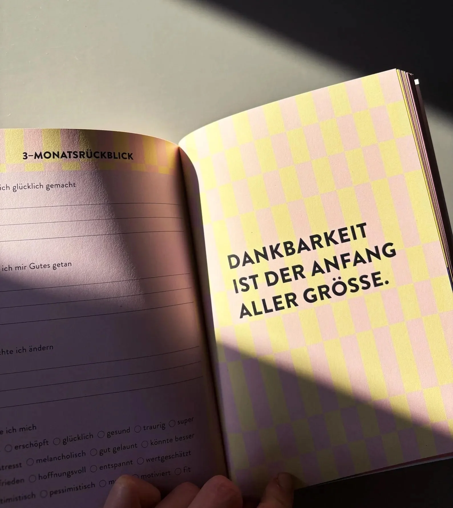 3 Gute Gedankenbuch von Anna Beddig – Dankbarkeitsjournal für Erwachsene – Cleo&Caesar Berlin