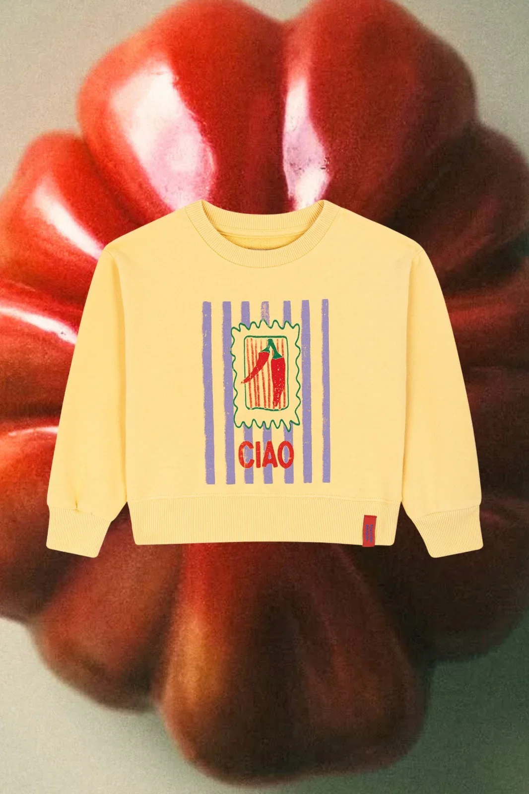 Gelber Kinder Pullover mit Chili-Print aus 100 % Baumwolle von Favorite People, Made in Portugal. im Kids Concept Store Berlin Cleo&Ceasar