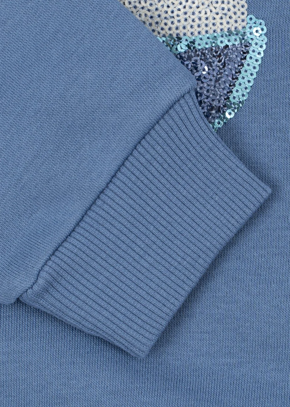 Blaues Kinder-Sweatshirt aus Bio-Baumwolle mit lockerer Passform, Rundhalsausschnitt und weichen Rippbündchen im Concept Store Cleo&Caesar.