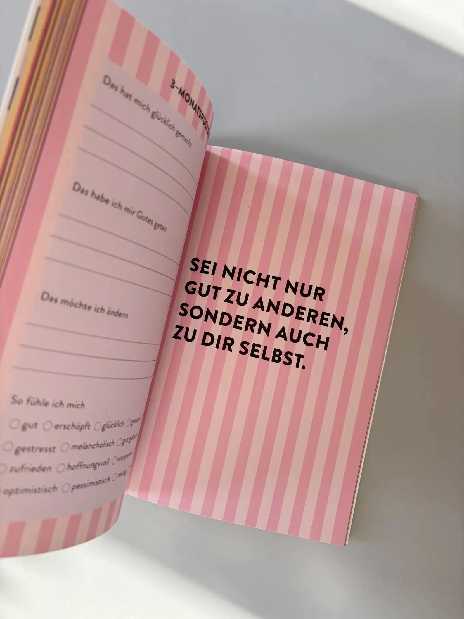 3 Gute Gedankenbuch von Anna Beddig – Dankbarkeitsjournal für Erwachsene – Cleo&Caesar Berlin