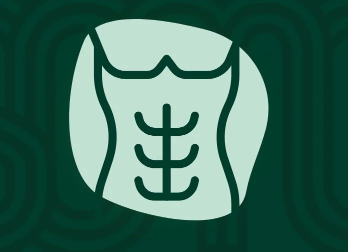 Rektusdiastase Check-Ups