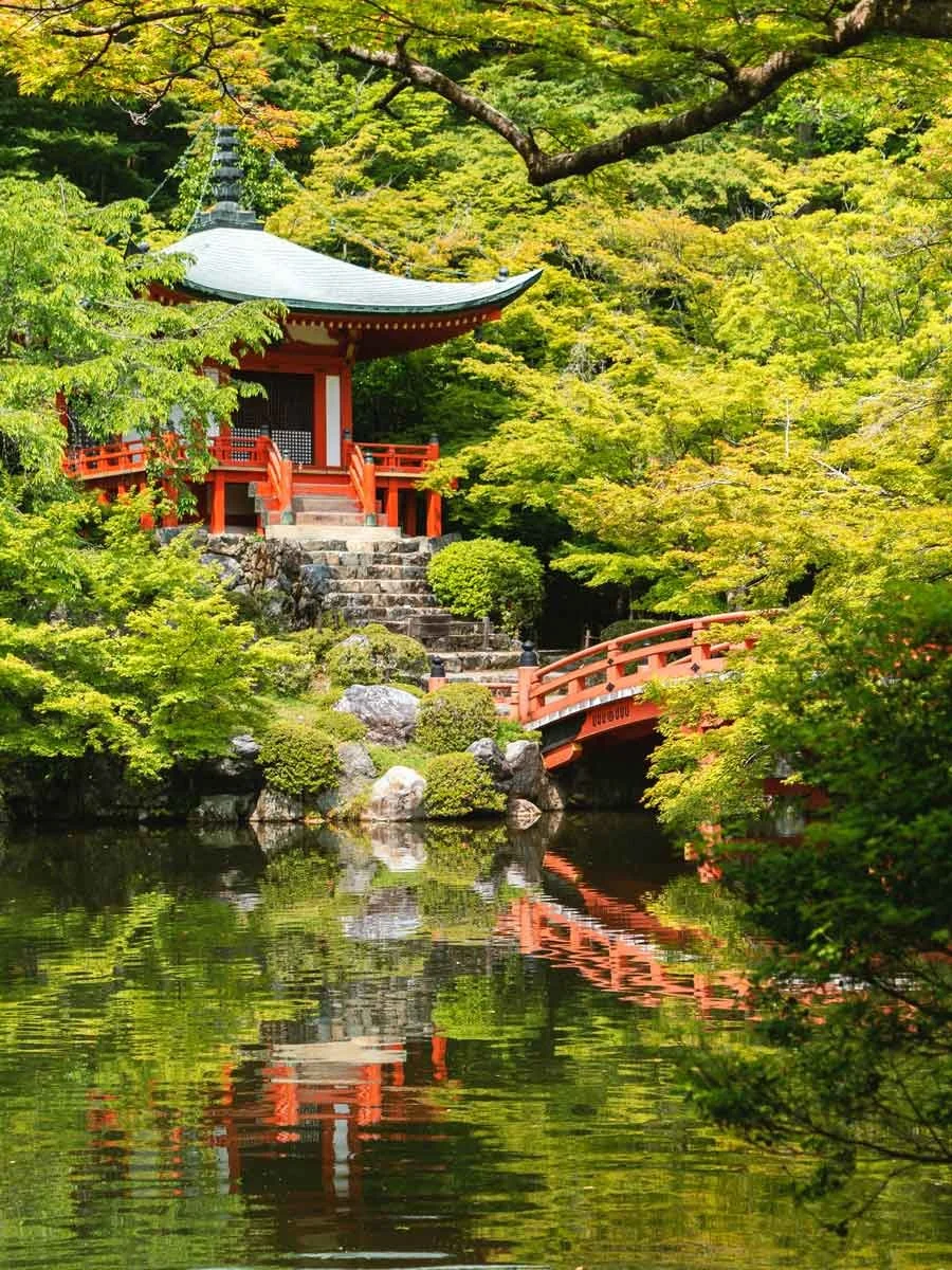 The Origins of Forest Bathing — An Darach Forest Therapy