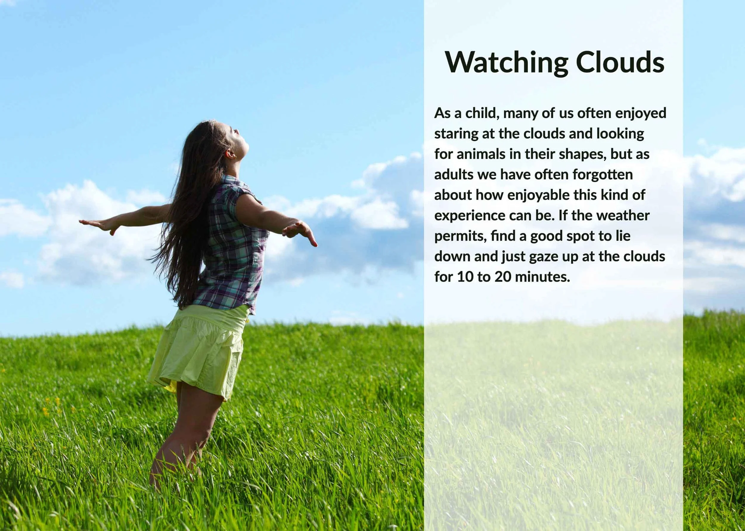 A Small Book of Forest Bathing Invitations — An Darach Forest Therapy