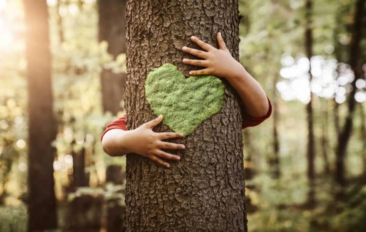 Is Forest Bathing about Hugging Trees?
