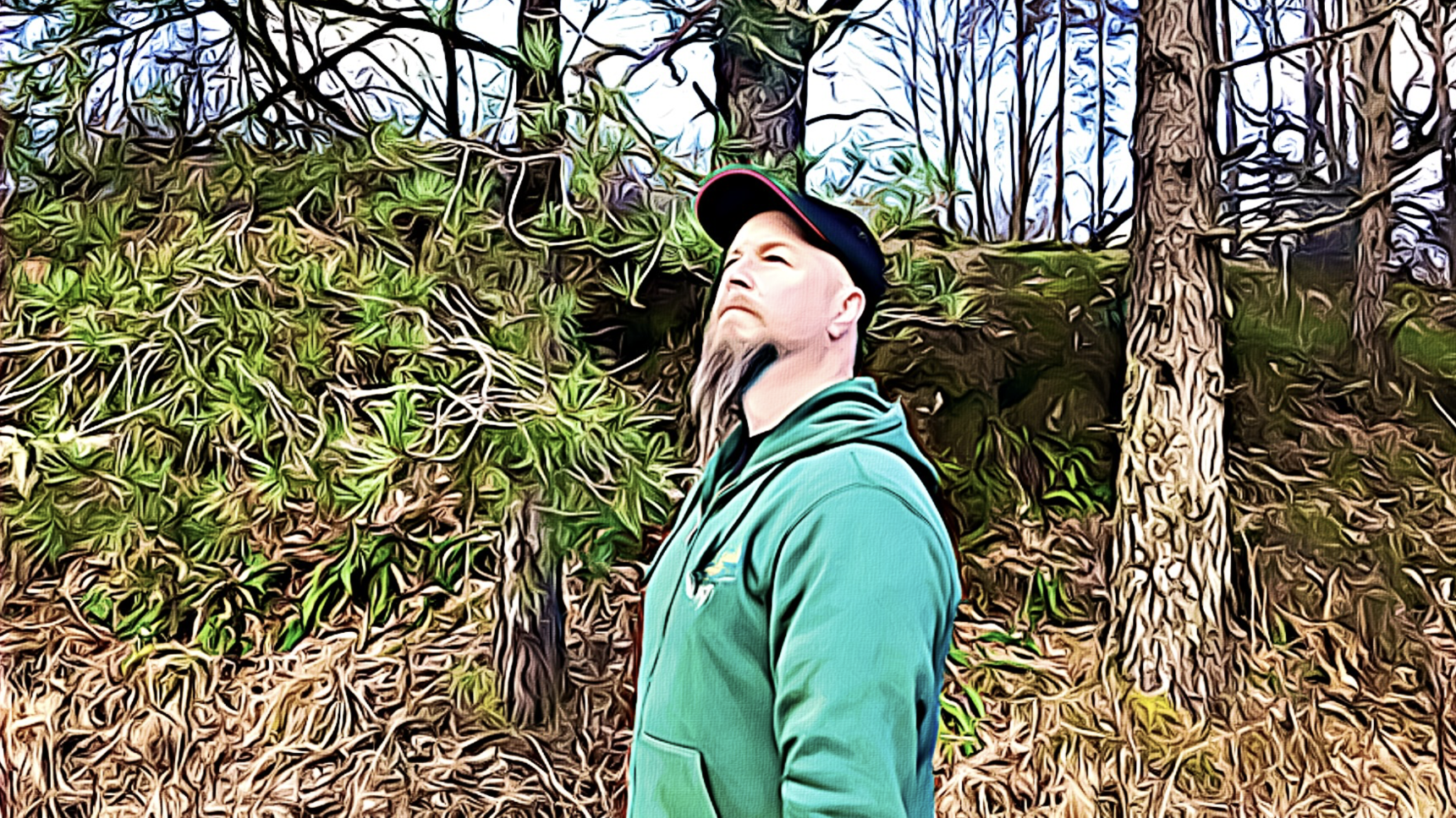 Forest Therapy Hub Interview