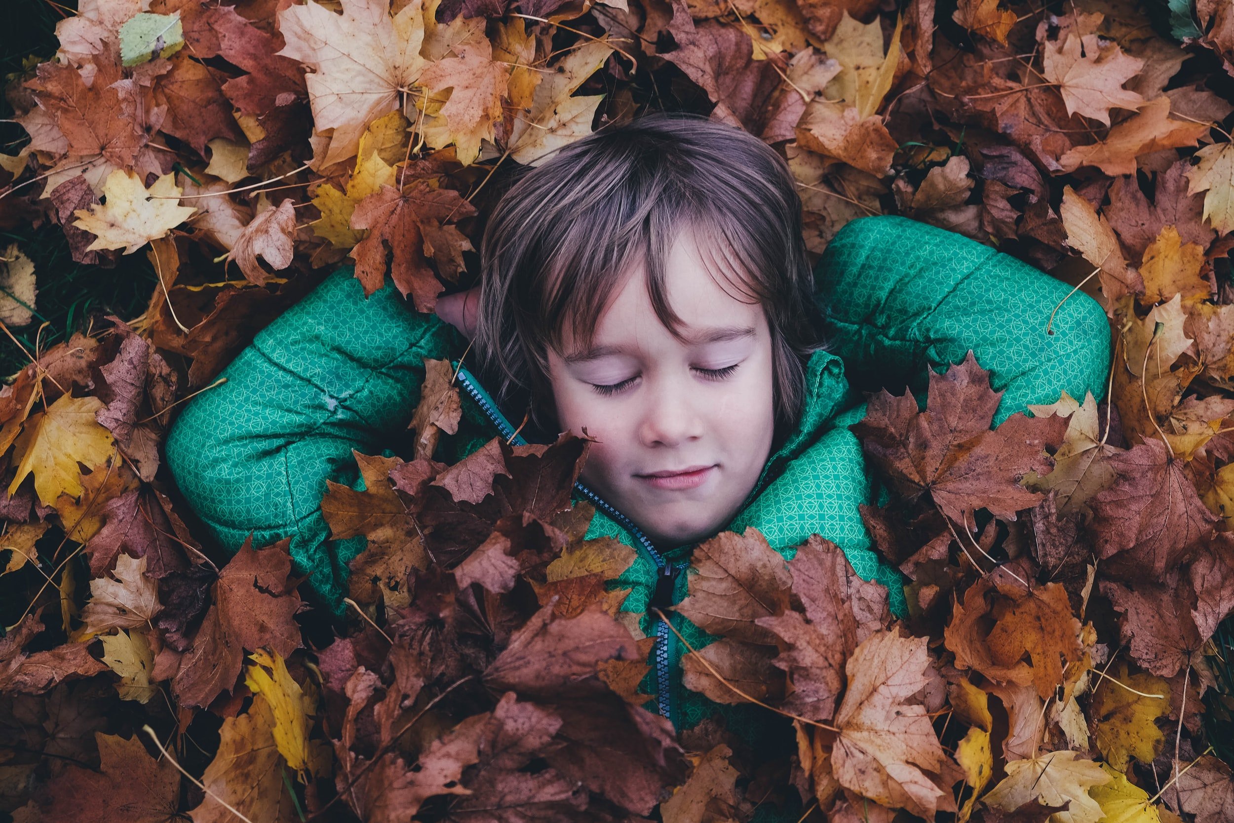 Small child lying in leaves