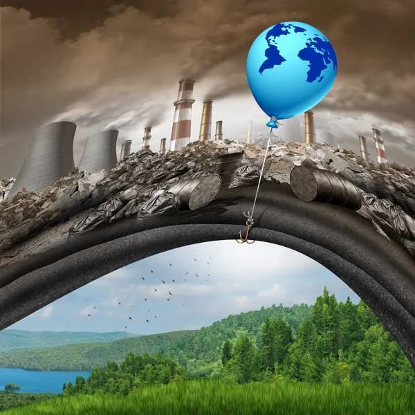 Nature-Connection and The Environment