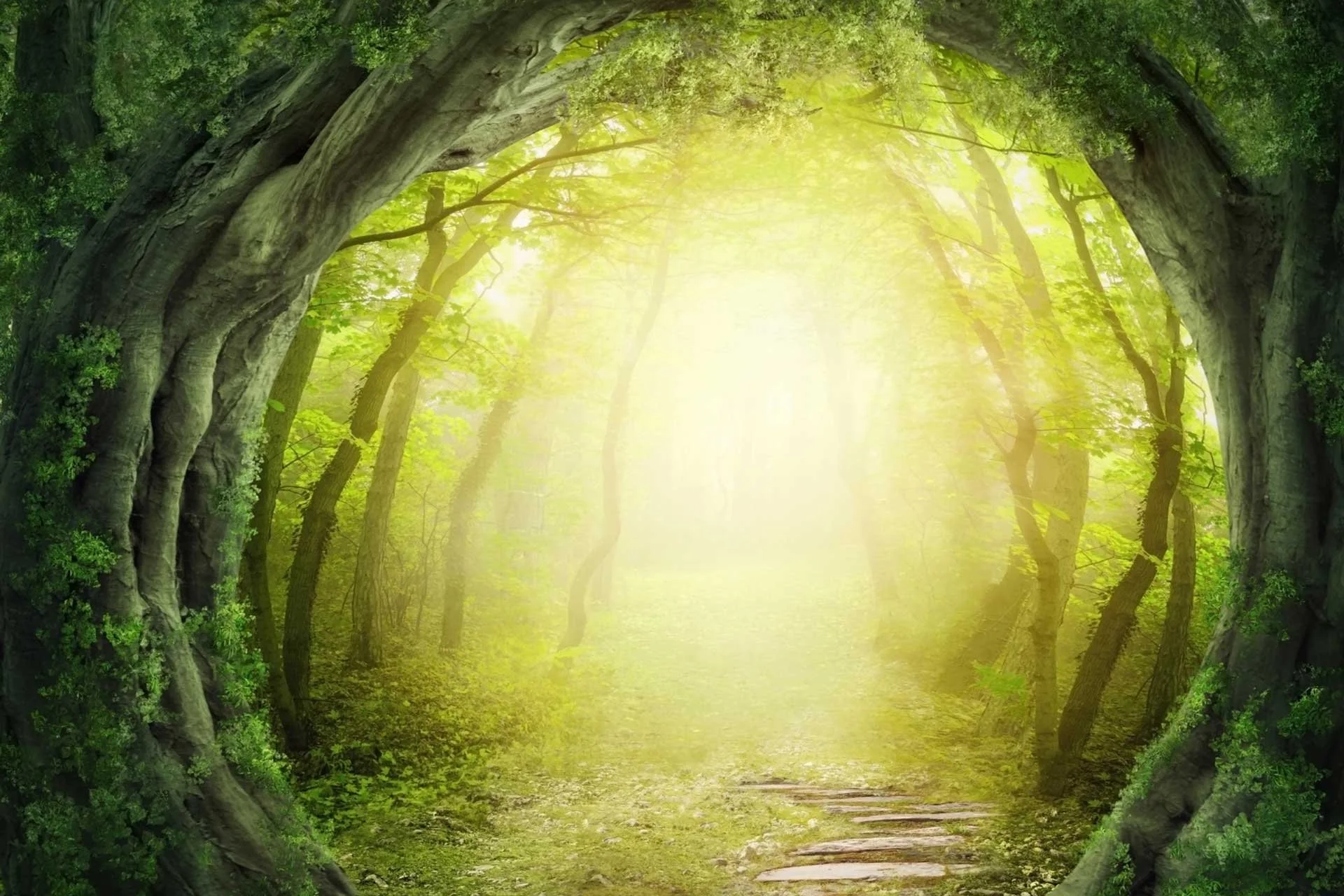 Forests, Fairytales and Phobias