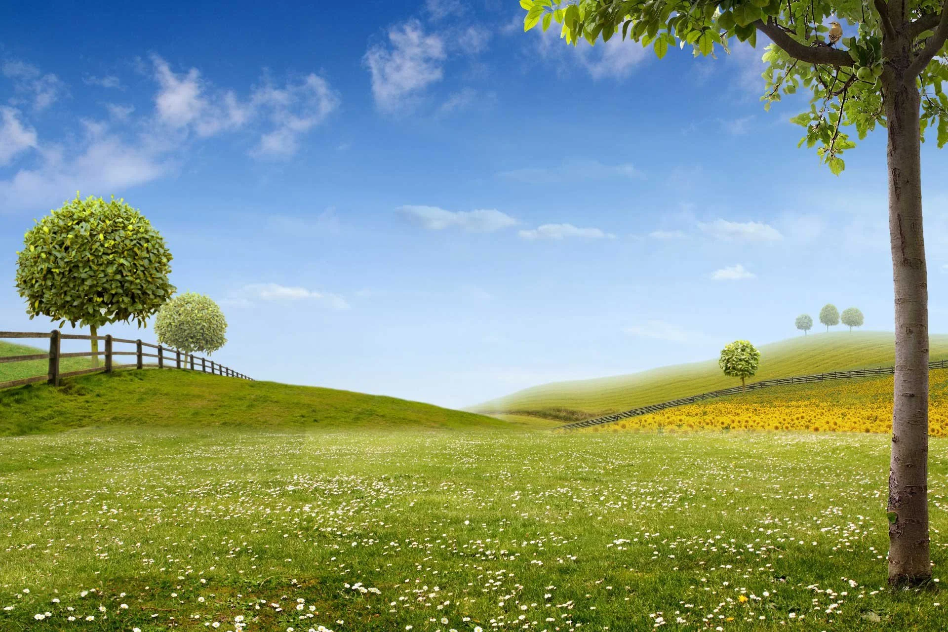Green Therapies: Exploring the Impact of the Colour Green on Emotional and Mental Health