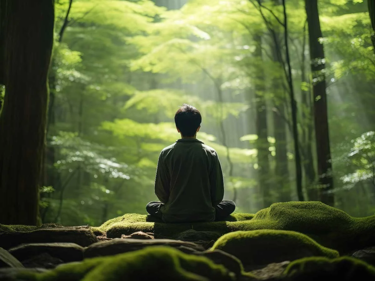 Forest Medicine