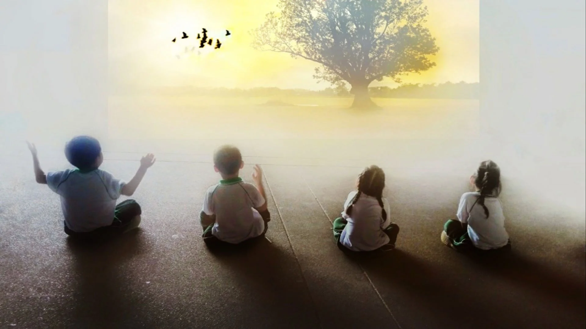 Do People Want Green Messages In Film?  - Hollywood's Role in Environmental Education