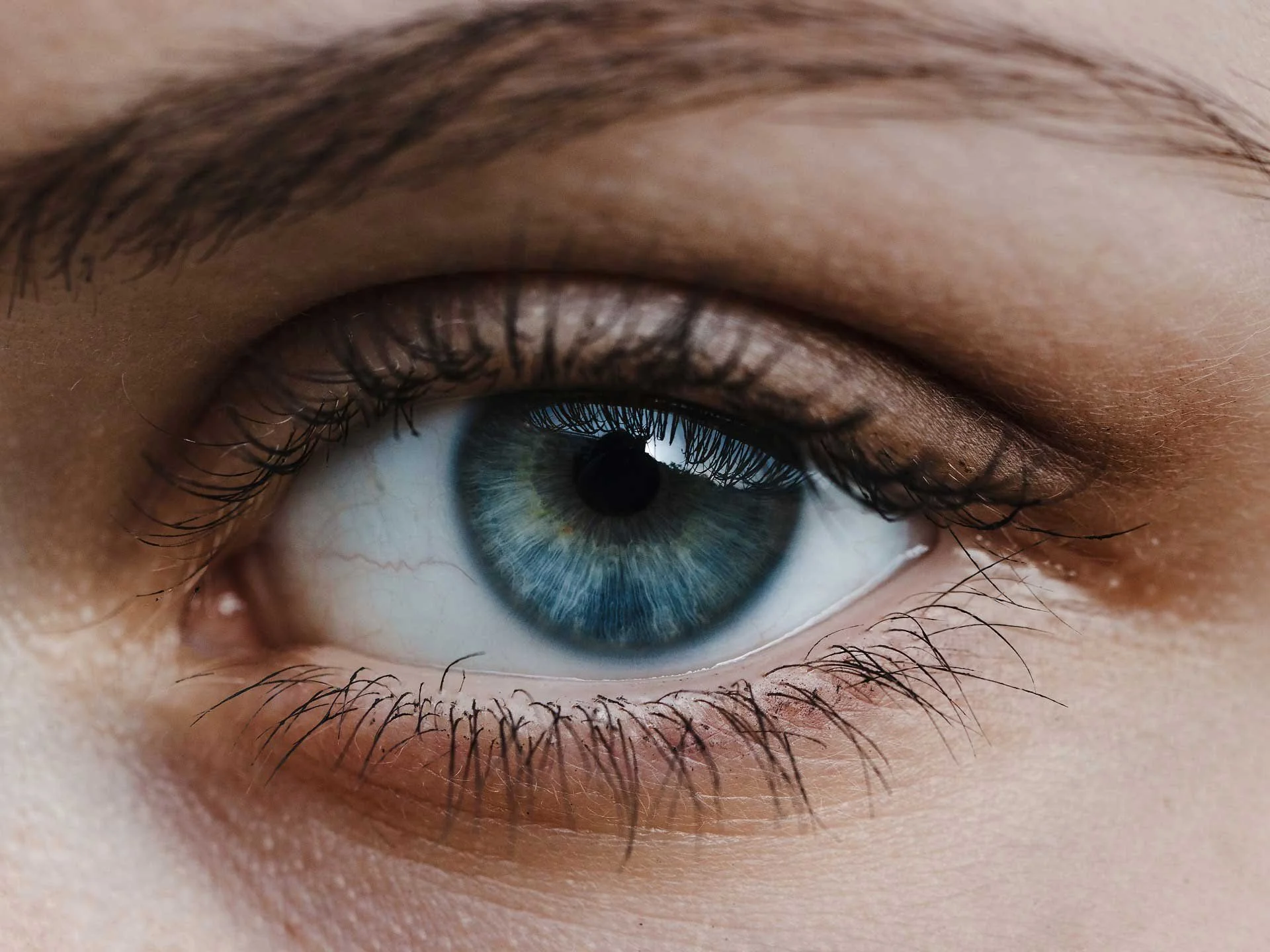 Differences in Colour Perception Between Species