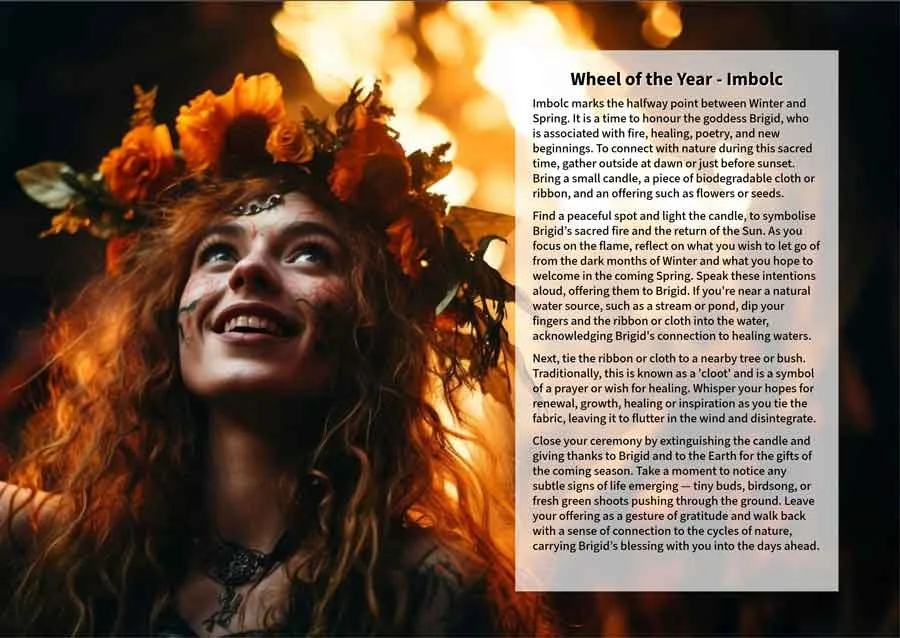 Celtic-NC-Book-9-Wheel-of-the-Year---Imbolc.jpg