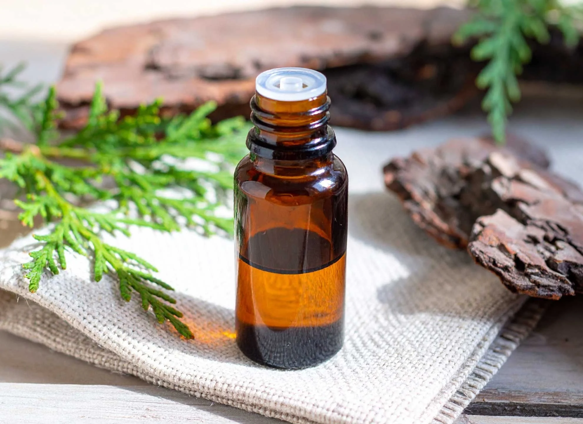 The Science Behind Hinoki Oil (and the Benefits for Immune Functioning and Respiratory Health)