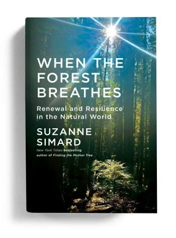 Book Review: ‘When the Forest Breathes: Renewal and Resilience in the Natural World’ by Suzanne Simard