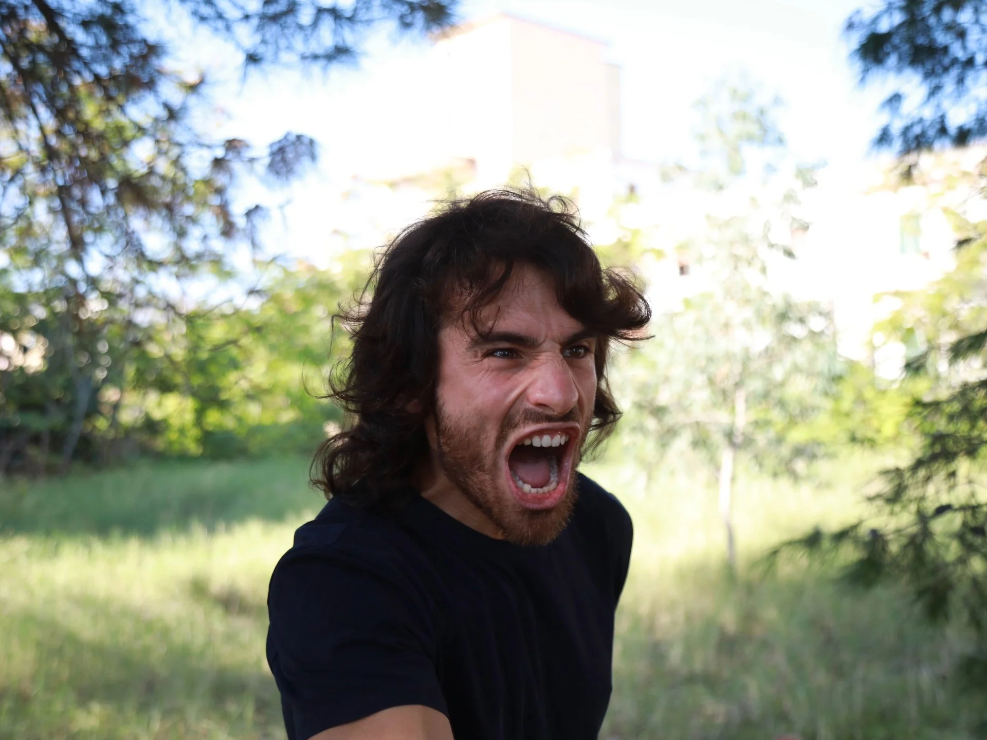 Nature Connection as an Antidote to Anger