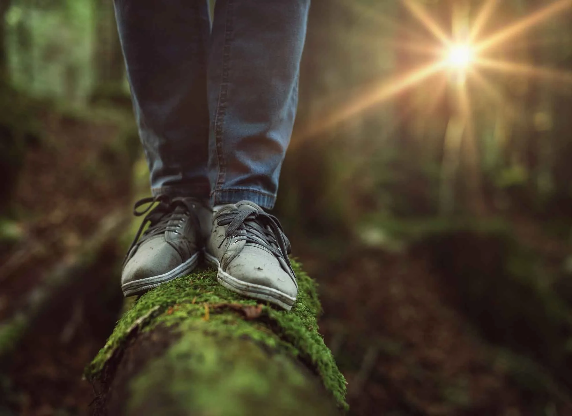 Proprioception, Interoception and Nature Connection