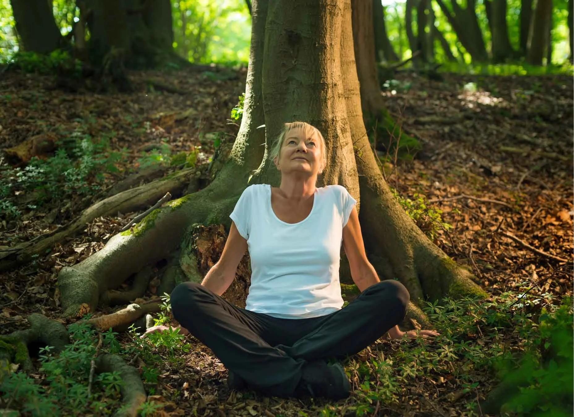 What is ‘Holding Space’ (and can trees or nature do this for us)?
