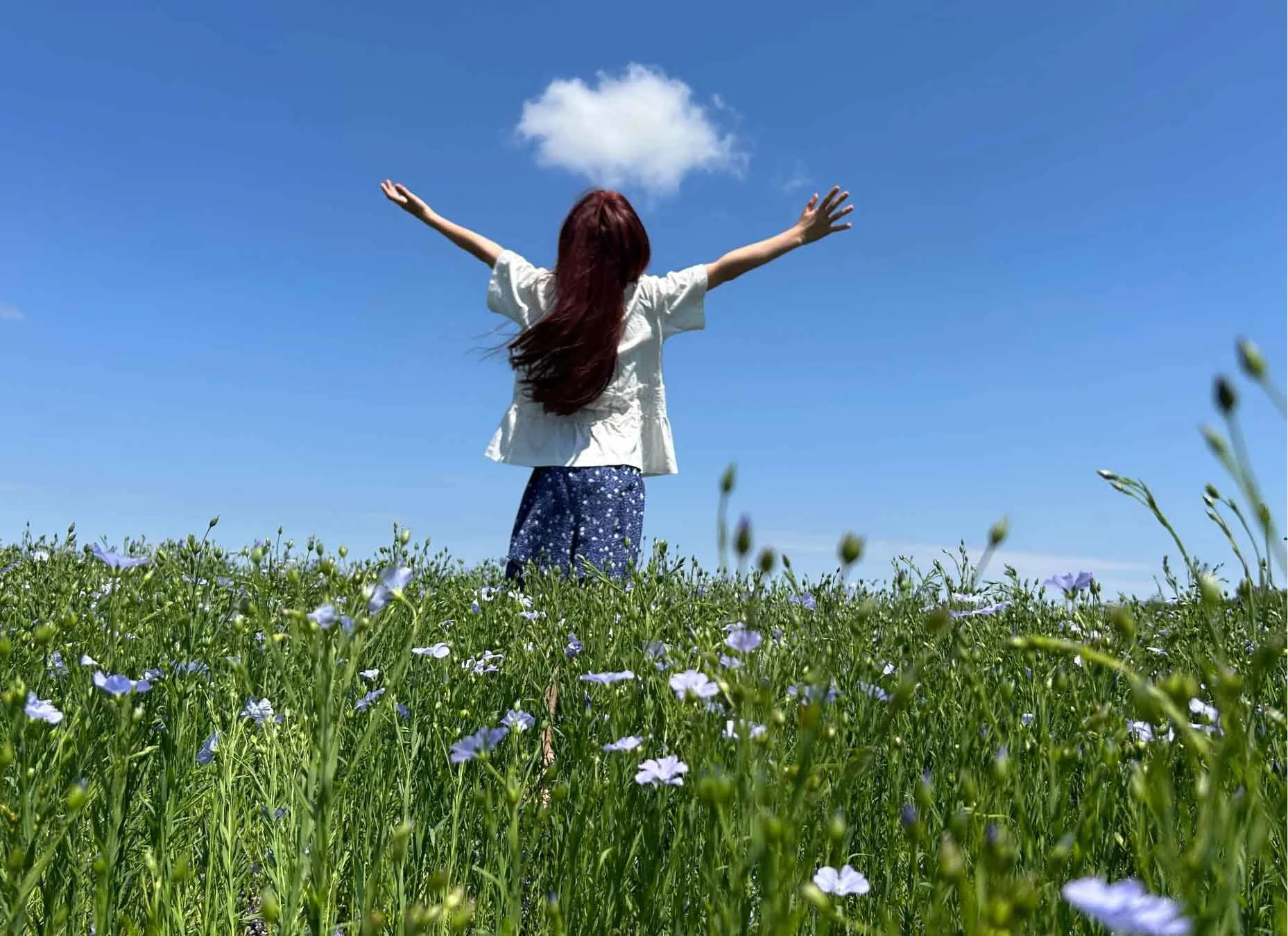 The Six Logical Levels of Change: How Nature Connection Can Support Lasting Transformation